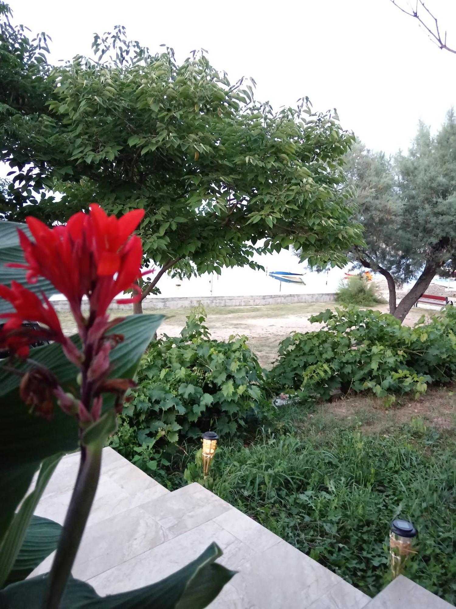 Seaview Holiday Apartments, Ventura ニン エクステリア 写真